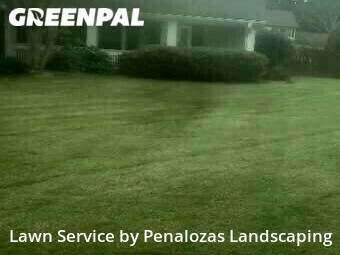 Lawn Mowing Service nearby Alpharetta, GA, 