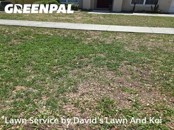 Grass Cut nearby Tavares, FL, 