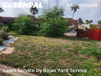 Landscape Design In Mc Allen,78504,Landscaping Installation by Rojas Yard Service, work completed in Nov , 2025