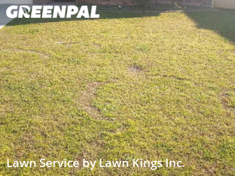 Lawn Cutting nearby Augusta, GA, 