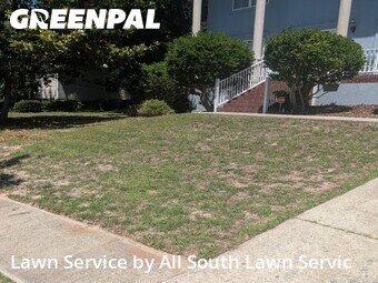 Yard Cutting nearby Columbia, SC, 