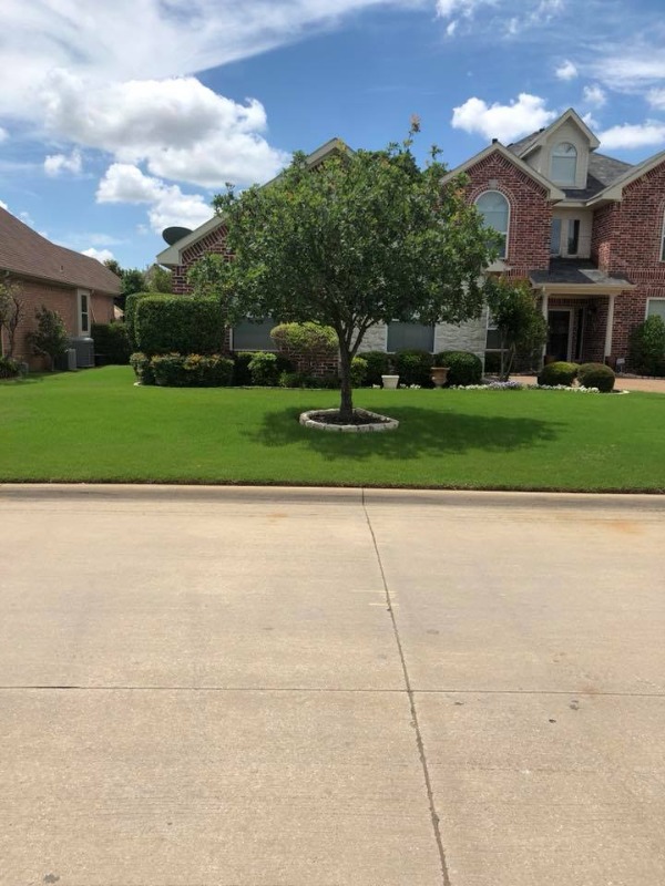 Lawn Care Service in Temple, TX, 76502