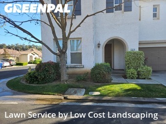 Grass Cut nearby Clovis, CA, 