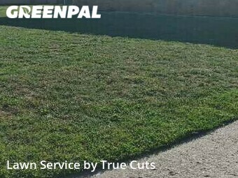 Yard Mowing nearby Del City, OK, 