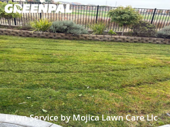 Landscaping Companies In Roseville,95747,Landscaping Maintenance by Mojica Lawn Care Llc, work completed in Nov , 2025