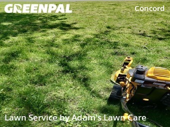 Lawn Care nearby St. Louis, MO, 