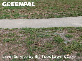 Lawn Mowing nearby Longwood, FL, 