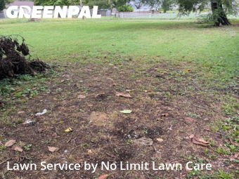 Lawn Care Service nearby Granite City, IL, 