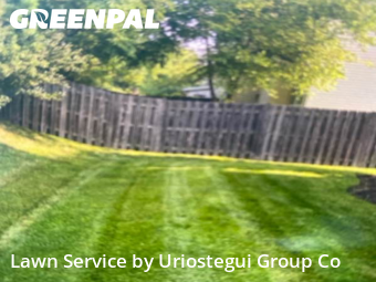 Lawn Cutting nearby Beach Park, IL, 