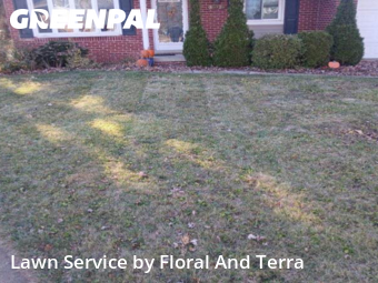 Lawn Care nearby St. Clair Shores, MI, 