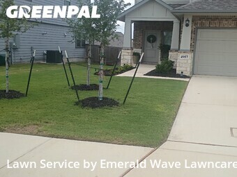 Lawn Cut nearby Marion, TX, 