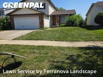 Yard Maintenance in Woodridge, 60517, Grass Services by Terranova Landscape, work completed in Aug , 2025