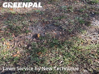 Lawn Mowin Apopka,32703,Lawn Cut by New Technique, work completed in Feb , 2026