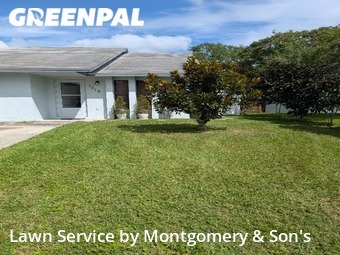 Grass Cut nearby Lakeland, FL, 