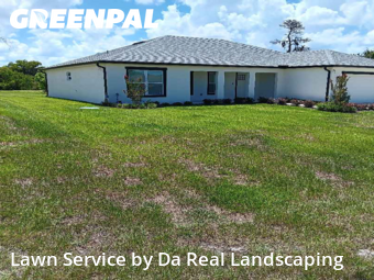 Lawn Cut nearby Spring Hill, FL, 