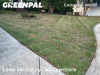 Lawn Care Service nearby Charlotte, NC, 
