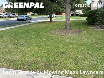 Lawn Maintenance nearby Round Rock, TX, 