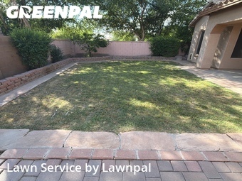 Lawn mowed in Chandler, 85286