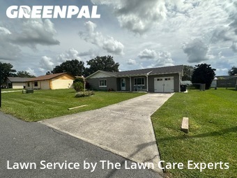 Grass Cutting nearby Lakeland, FL, 