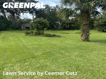 Lawn Maintenance nearby Daytona Beach, FL, 