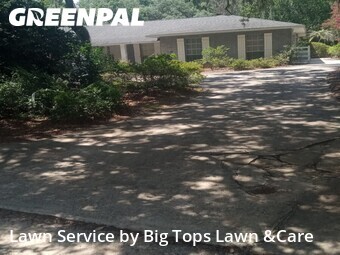Grass Cut nearby Winter Springs, FL, 