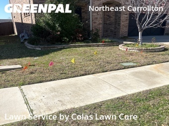Lawn Mowing nearby Carrollton, TX, 
