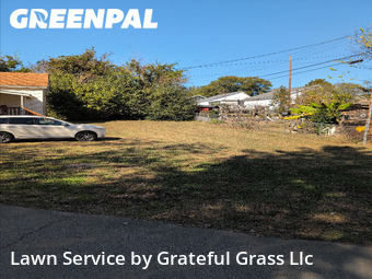 Grass Cutting nearby Greenville, SC, 