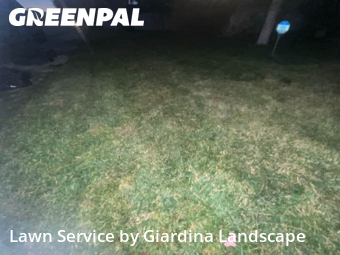 Lawn Mow nearby Nampa, ID, 
