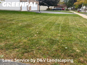 Grass Cutin Joliet,60435,Lawn Service by D&V Landscaping , work completed in Feb , 2026
