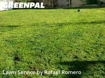 Lawn Service nearby Medford, MA, 