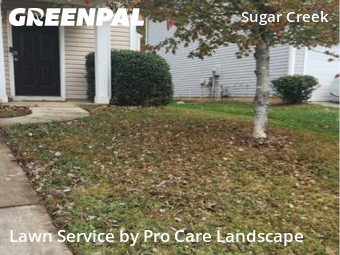 Grass Cut nearby Charlotte, NC, 