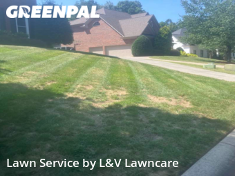 Lawn Cutting nearby Indian Land, NC, 