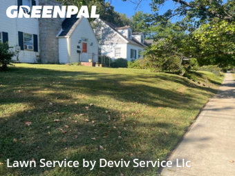 Landscaping Maintenance in University Park, 20782, Weed Trimming by Deviv Service Llc, work completed in Oct , 2025