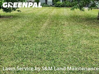 Yard Cutting nearby Leesburg, FL, 