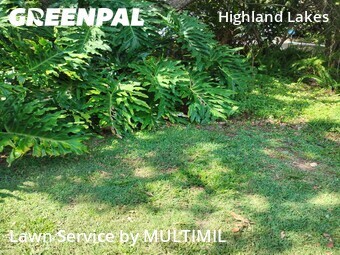 Grass Cuttingin Clearwater,33756,Grass Cut by MULTIMIL , work completed in Jun , 2026