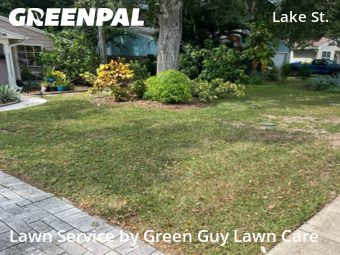 Lawn Mowingin Palm Harbor,34684,Yard Mowing by Green Guy Lawn Care, work completed in Nov , 2025