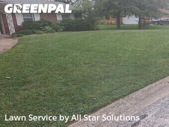 Lawn Mowing nearby Belleville, IL, 