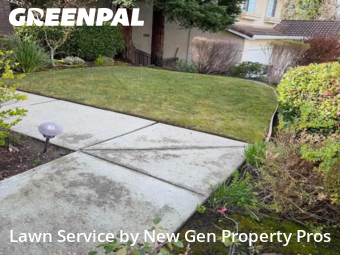 Lawn Mow nearby Danville, CA, 