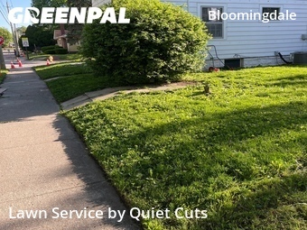 Grass Cut nearby Fort Wayne, IN, 