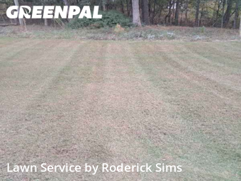 Yard Upkeep in Winder, 30680, Yard Services by Roderick Sims, work completed in Nov , 2025