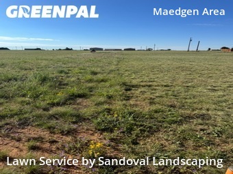 Lawn Care Service nearby Lubbock, TX, 