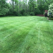 local-lawn-cutting-services-in-Buffalo-NY