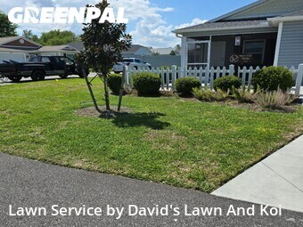 Grass Cut nearby The Villages, FL, 