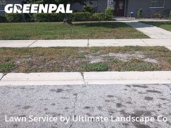 Lawn Mowing nearby Tampa, FL, 