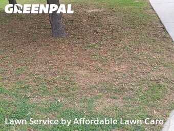 Lawn Care Service nearby New Braunfels, TX, 