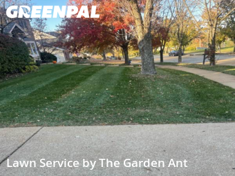 Yard Mowing nearby Ballwin, MO, 