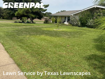 Lawn Mowing Servicein Richardson,75081,Lawn Mowing by Texas Lawnscapes, work completed in Dec , 2025