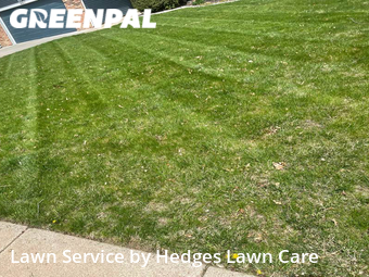 Lawn Cut nearby Omaha, NE, 