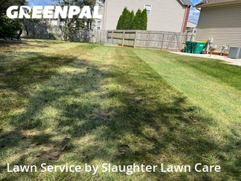 Grass Cut nearby Knoxville, TN, 