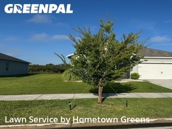 Grass Cut nearby Lakeland, FL, 
